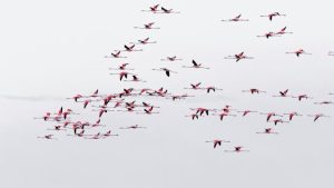 Navigating the Challenges of Catering for Large Groups