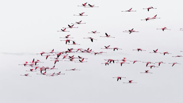 Navigating the Challenges of Catering for Large Groups