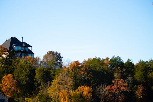 The Importance of Vetting Home Inspectors for Credentials