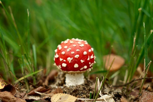 How to Identify Toxic Work Environments and Know When to Leave