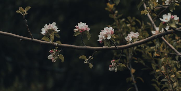 The Role of Color in Enhancing the Appeal of Your Dishes