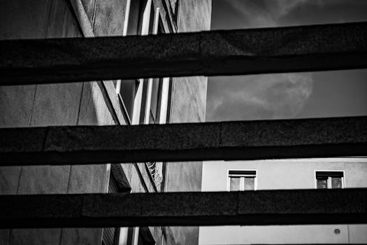 The Essential Guide to Understanding Property Lines and Surveys