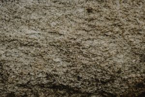 Building a Strong Defense Against Common Cooking Mistakes