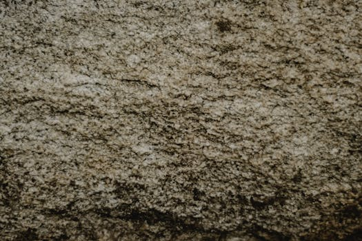 Building a Strong Defense Against Common Cooking Mistakes