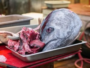 How to Successfully Shop for Quality Seafood and Fish