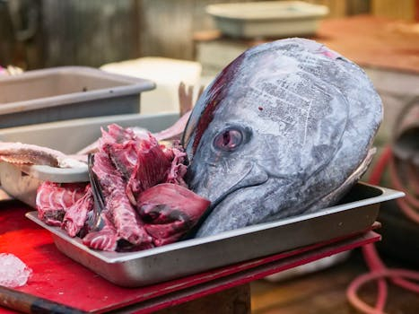 How to Successfully Shop for Quality Seafood and Fish