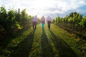 Exploring Sustainable Practices: Eco-Friendly Music Festivals