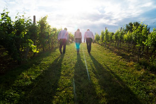 Exploring Sustainable Practices: Eco-Friendly Music Festivals